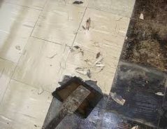 Asbestos Vinyl Flooring