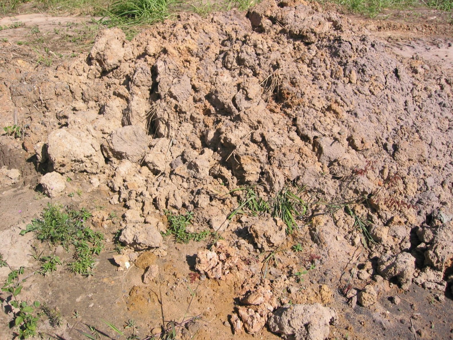 WasteTypeSoil4e1566527285527 Skip Bins Brisbane